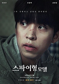 스파이형 모델