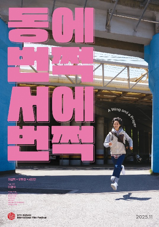 동에 번쩍 서에 번쩍