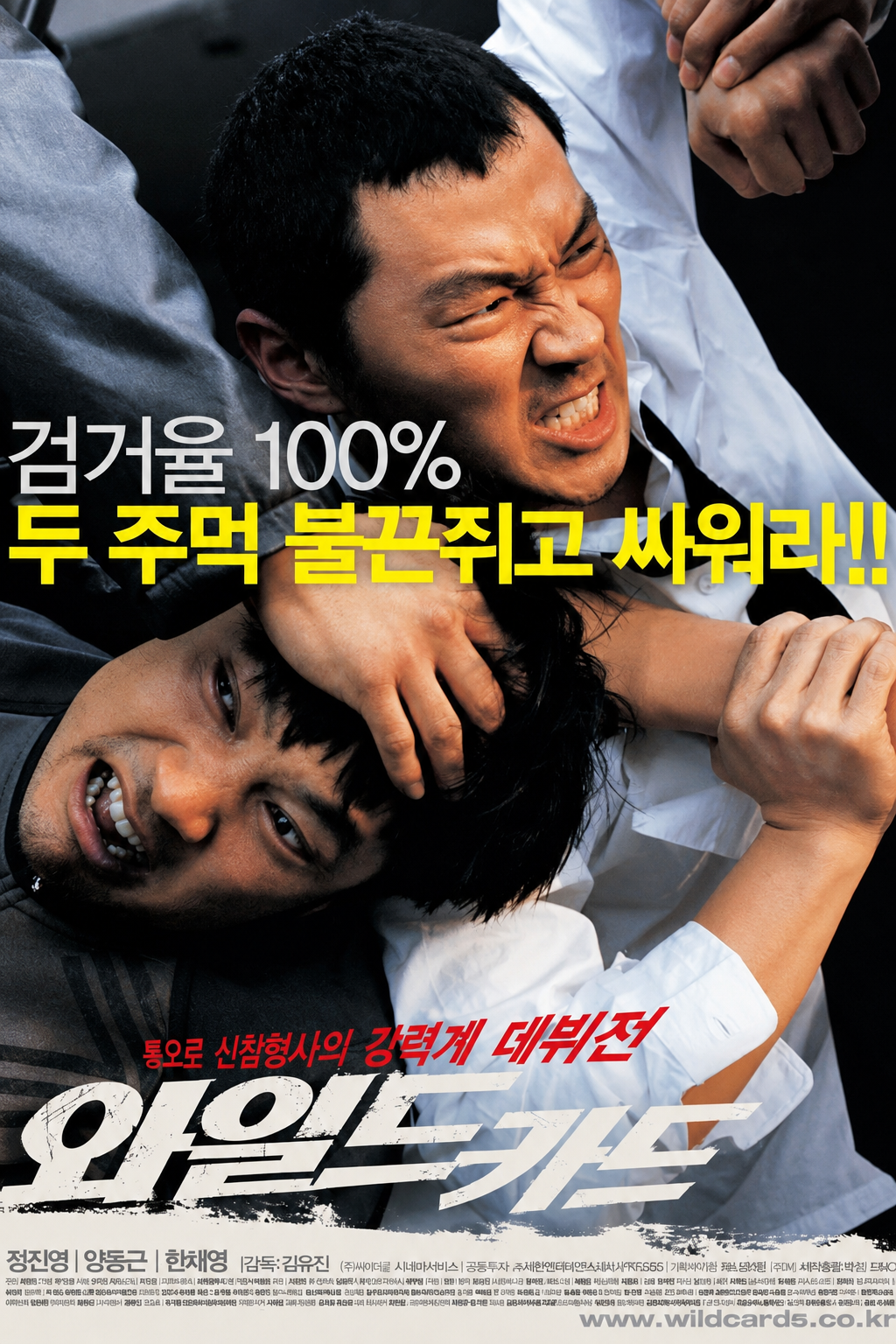 와일드카드 다시보기