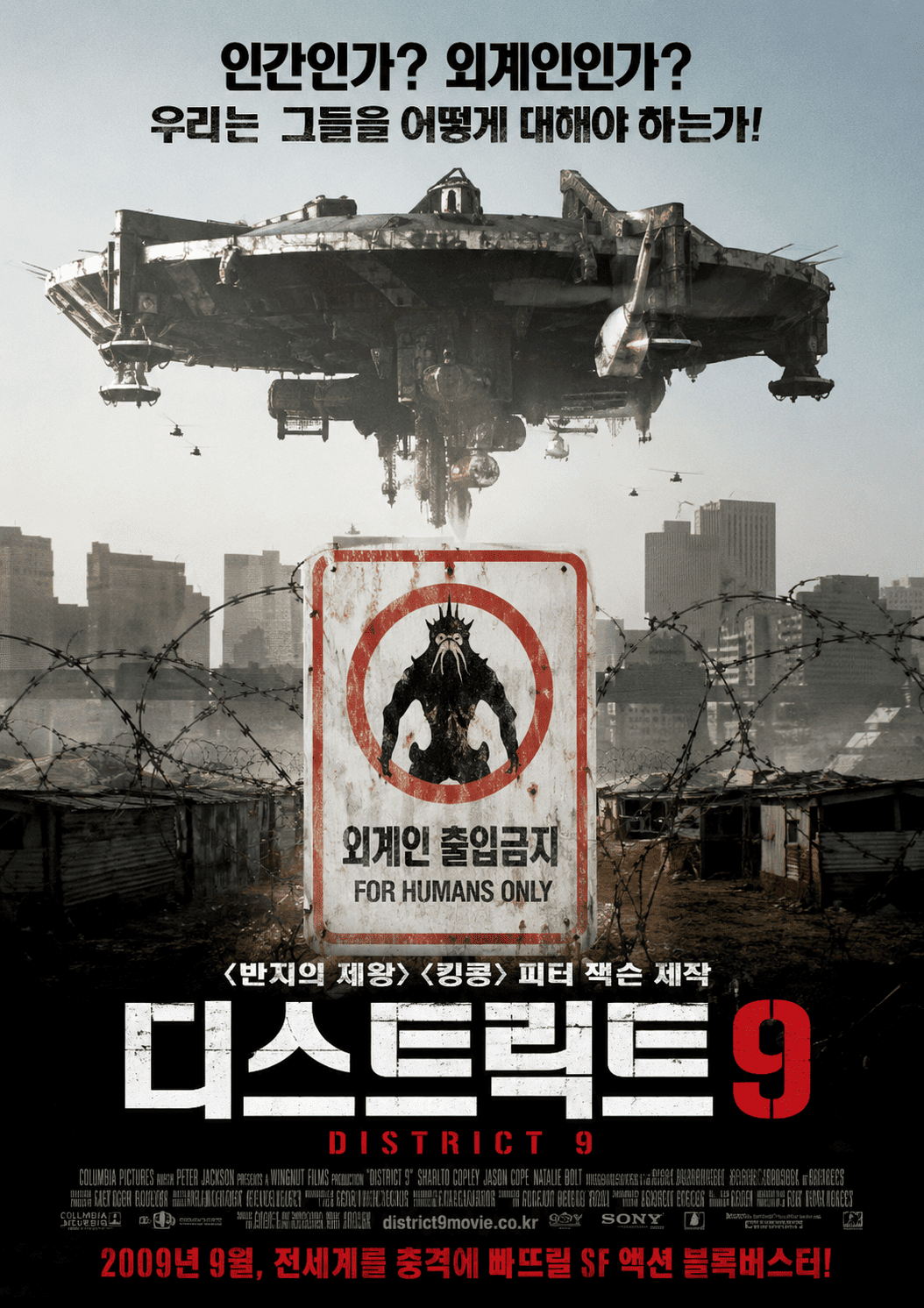 다시트릭트9 (고화질) 다시보기
