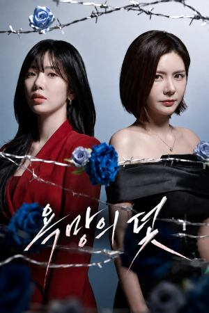 욕망의 덫