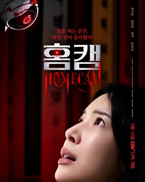 홈캠 (2025)