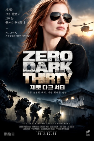 제로다크 서티 (2012)