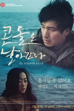 콘돌은 날아간다(2013)