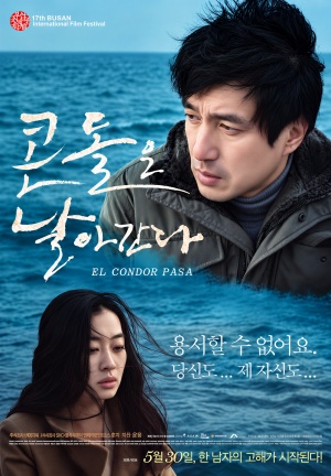 콘돌은 날아간다(2013)